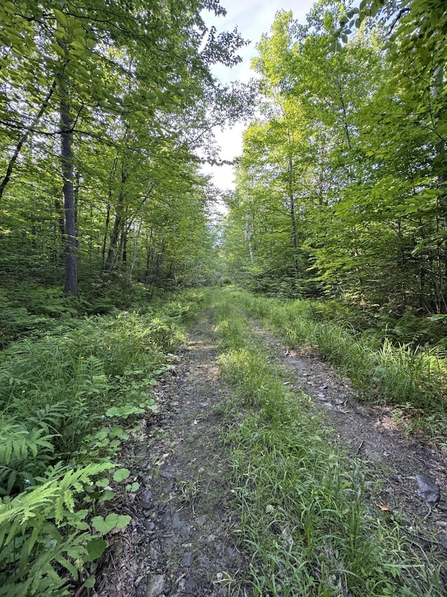 137 Vanishing Ln, Athens, ME 04912 - photo 11