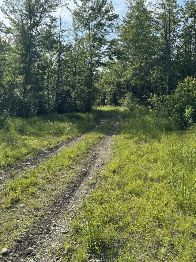 137 Vanishing Ln, Athens, ME 04912 - photo 13