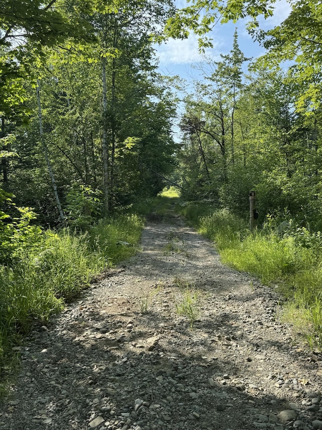 137 Vanishing Ln, Athens, ME 04912 - photo 15