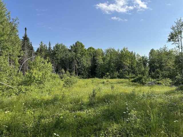 137 Vanishing Ln, Athens, ME 04912 - photo 14