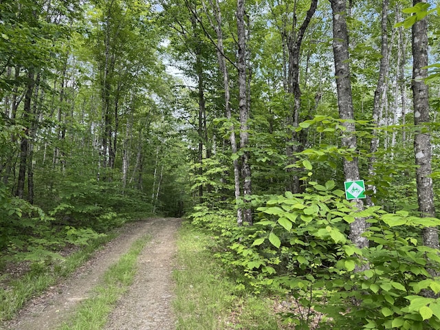 137 Vanishing Ln, Athens, ME 04912 - photo 17