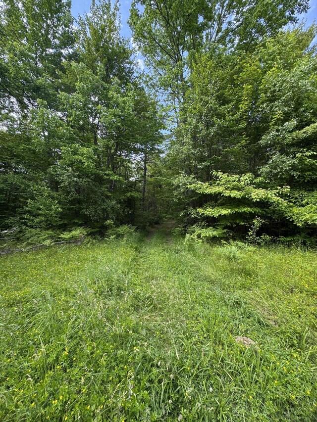 137 Vanishing Ln, Athens, ME 04912 - photo 19