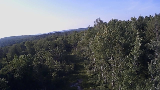 137 Vanishing Ln, Athens, ME 04912 - photo 33