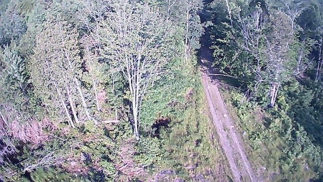 137 Vanishing Ln, Athens, ME 04912 - photo 34
