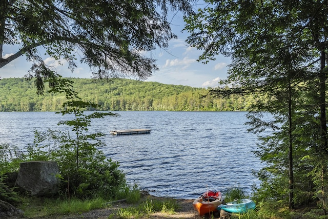 30 Valhalla Ln, Norway, ME 04268 - photo 47