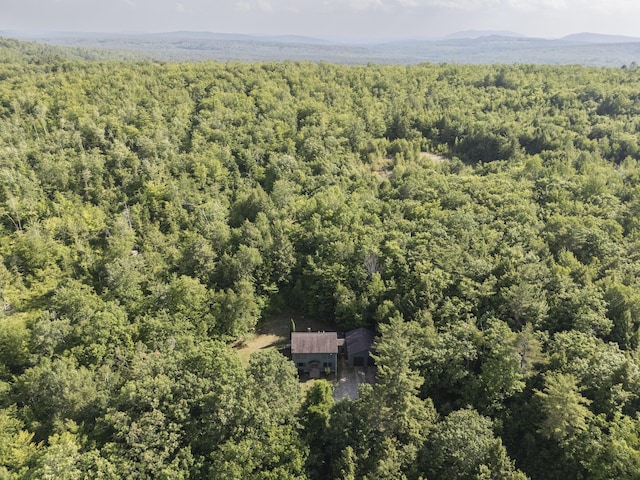 30 Valhalla Ln, Norway, ME 04268 - photo 52