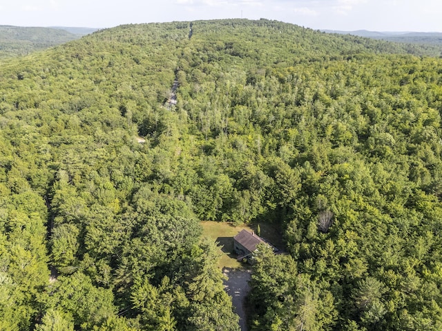 30 Valhalla Ln, Norway, ME 04268 - photo 53