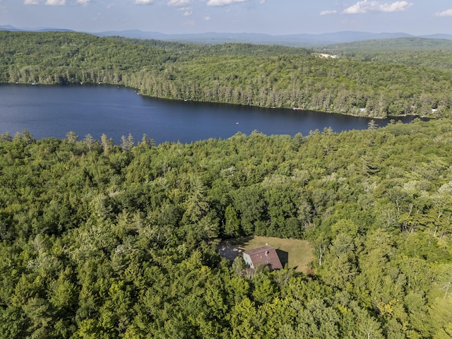 30 Valhalla Ln, Norway, ME 04268 - photo 54