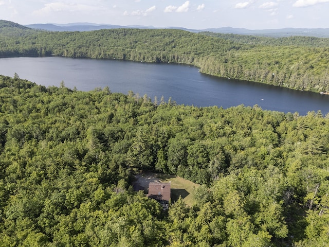 30 Valhalla Ln, Norway, ME 04268 - photo 55