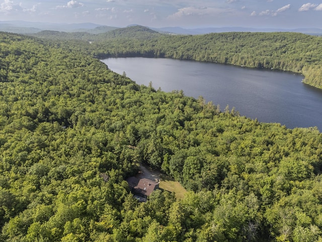 30 Valhalla Ln, Norway, ME 04268 - photo 56