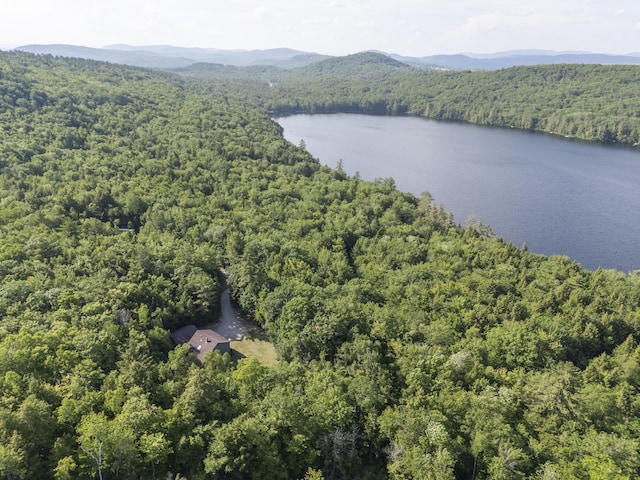 30 Valhalla Ln, Norway, ME 04268 - photo 57
