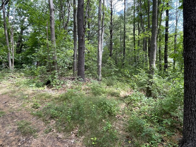97 Warren Ave, Portland, ME 04103 - photo 10