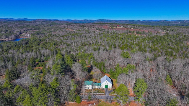 133 Hio Ridge Rd, Bridgton, ME 04009 - view of subject property with a heavily wooded area and a mountain backdrop