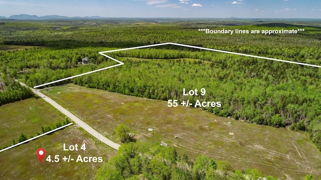 MAP13LOT9 Martins Ridge Rd, Franklin, ME 04634 - photo 1