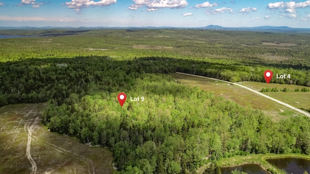 MAP13LOT9 Martins Ridge Rd, Franklin, ME 04634 - photo 2