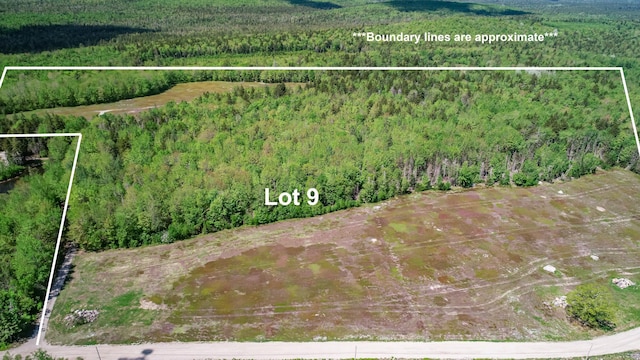 MAP13LOT9 Martins Ridge Rd, Franklin, ME 04634 - photo 3
