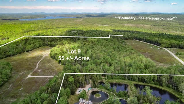 MAP13LOT9 Martins Ridge Rd, Franklin, ME 04634 - photo 4