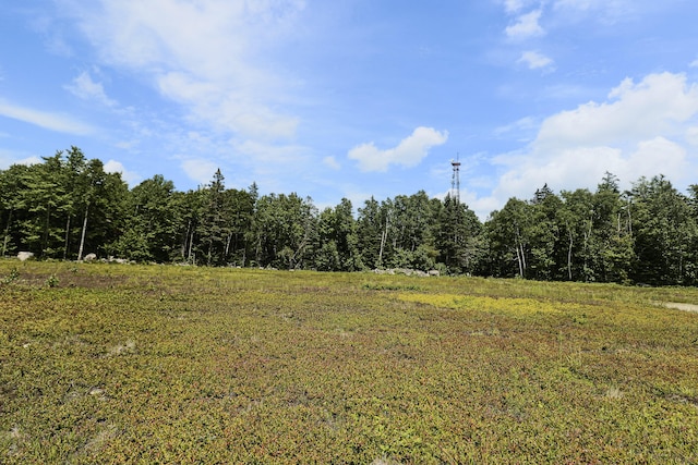 MAP13LOT9 Martins Ridge Rd, Franklin, ME 04634 - photo 7