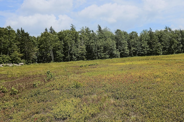 MAP13LOT9 Martins Ridge Rd, Franklin, ME 04634 - photo 8