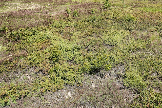 MAP13LOT9 Martins Ridge Rd, Franklin, ME 04634 - photo 9