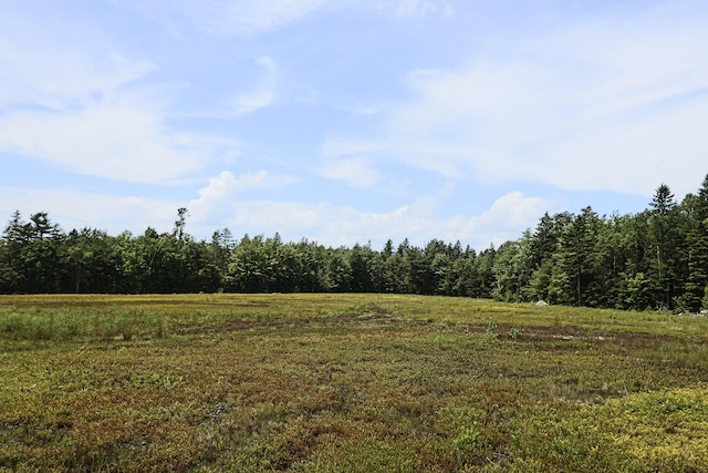 MAP13LOT9 Martins Ridge Rd, Franklin, ME 04634 - photo 10