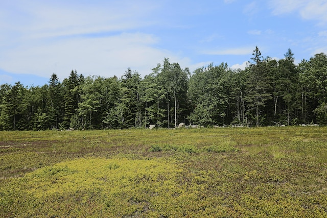 MAP13LOT9 Martins Ridge Rd, Franklin, ME 04634 - photo 11