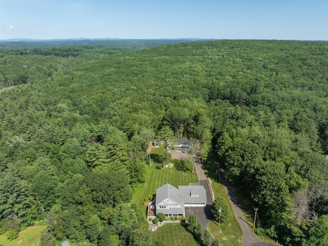 65 Wildbrook Ln, Eliot, ME 03903 - aerial view of a heavily wooded area