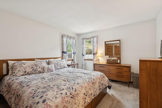 66 Rustic Ln, Portland, ME 04103 - bedroom with light colored carpet