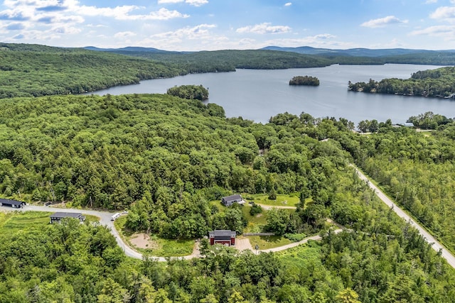 17 Applehead Way, Orrington, ME 04474 - bird's eye view of a water and mountain view