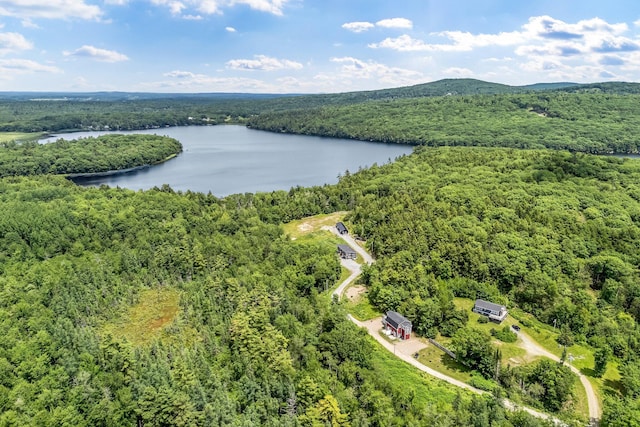 17 Applehead Way, Orrington, ME 04474 - aerial view of a large body of water