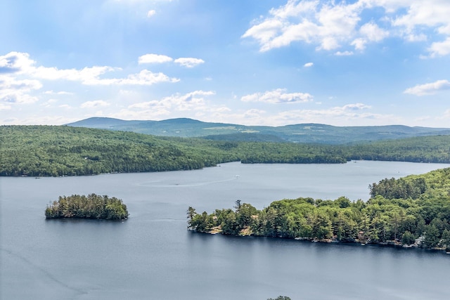 17 Applehead Way, Orrington, ME 04474 - bird's eye view of a forest and a water and mountain view