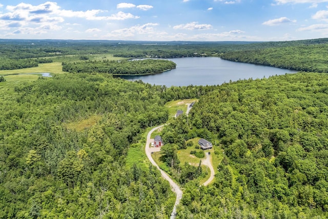 17 Applehead Way, Orrington, ME 04474 - aerial view of a large body of water