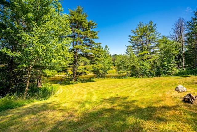 view of grassy yard with a water view and a view of trees