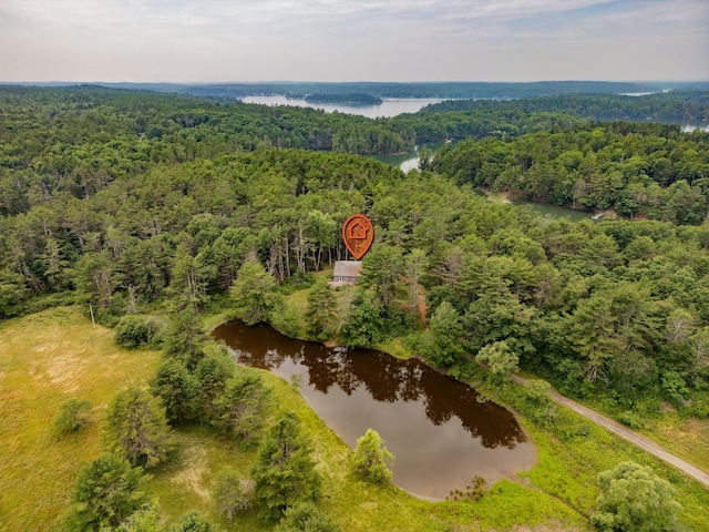 aerial view of a forest and a large body of water