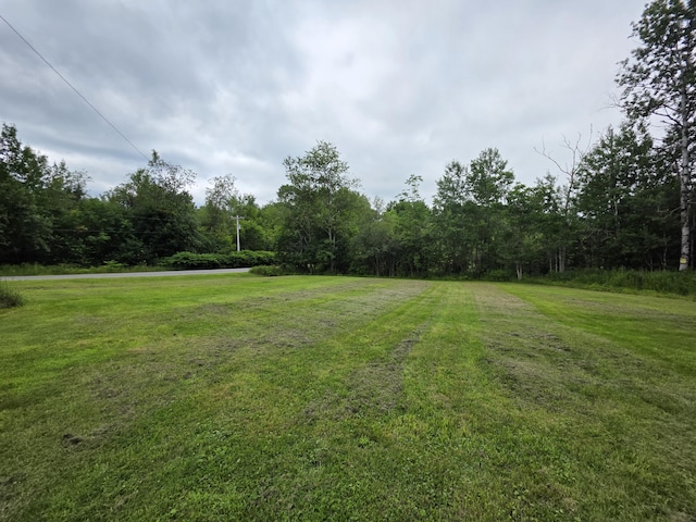 17 Cross St, Kingman Twp, ME 04451 - view of green lawn with a wooded view