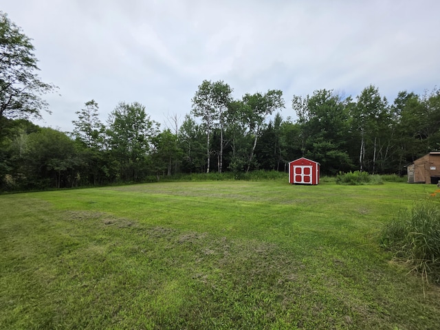 17 Cross St, Kingman Twp, ME 04451 - view of grassy yard with a storage unit and a view of trees