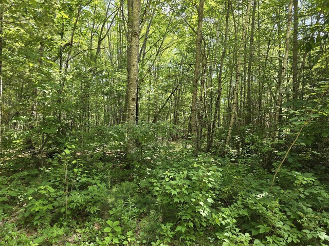 TBD Willow Way, Jefferson, ME 04348