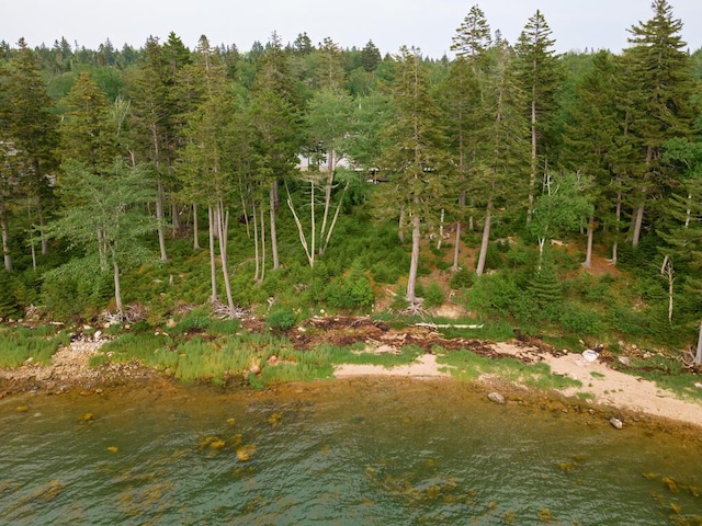 106 Sunset Bay Dr, Steuben, ME 04680 - water view with a heavily wooded area