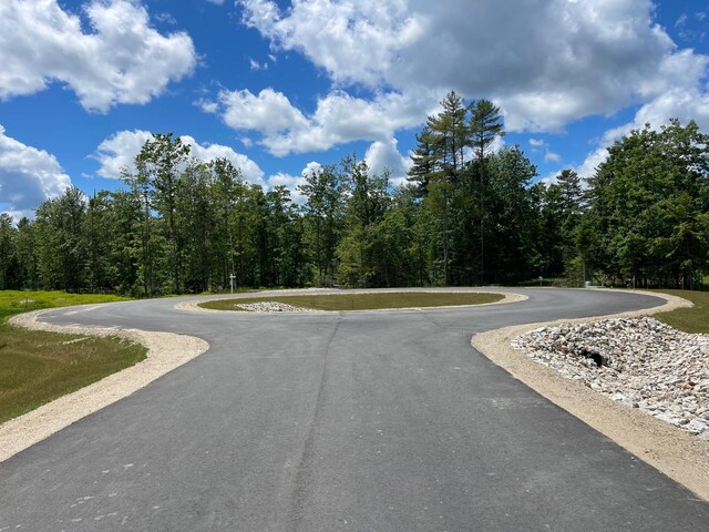 LOT5 Forest Dr, Arundel, ME 04046 - photo 4