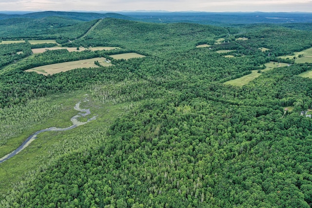 LOT12 S Rd S, Dixmont, ME 04932