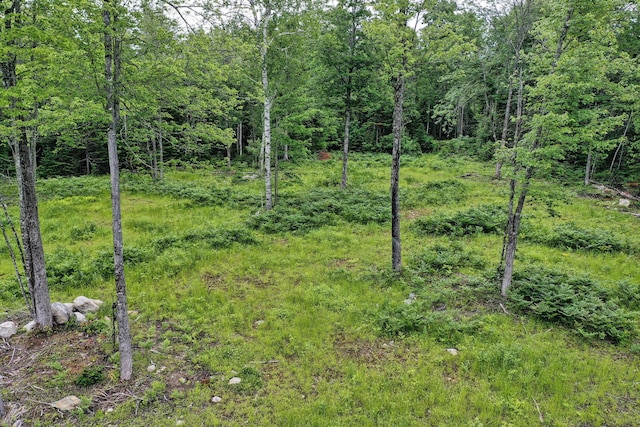 LOT12 S Rd S, Dixmont, ME 04932