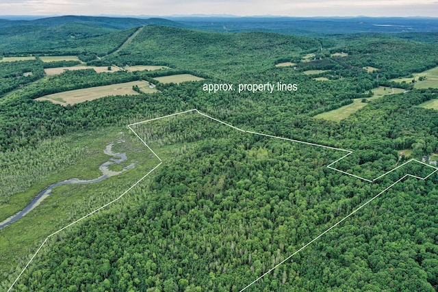 LOT12 S Rd S, Dixmont, ME 04932