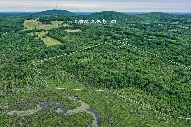LOT12 S Rd S, Dixmont, ME 04932