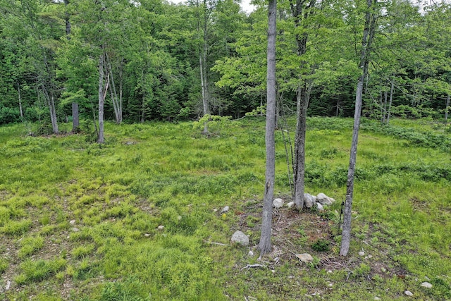 LOT12 S Rd S, Dixmont, ME 04932