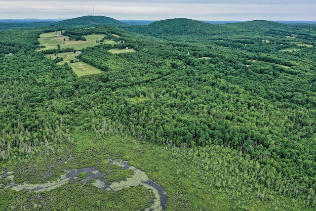 LOT12 S Rd S, Dixmont, ME 04932