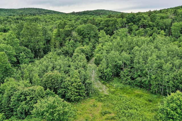 LOT12 S Rd S, Dixmont, ME 04932
