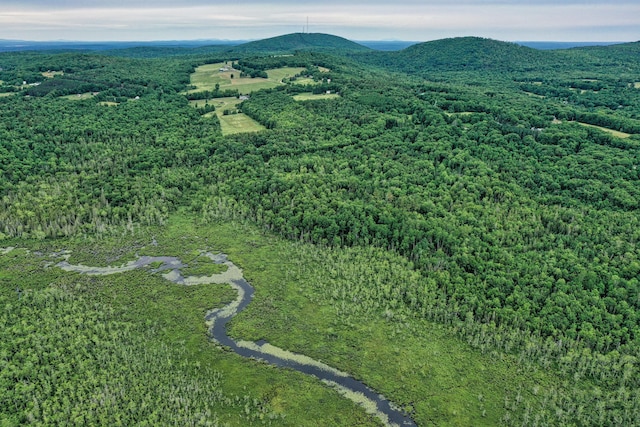 LOT12 S Rd S, Dixmont, ME 04932