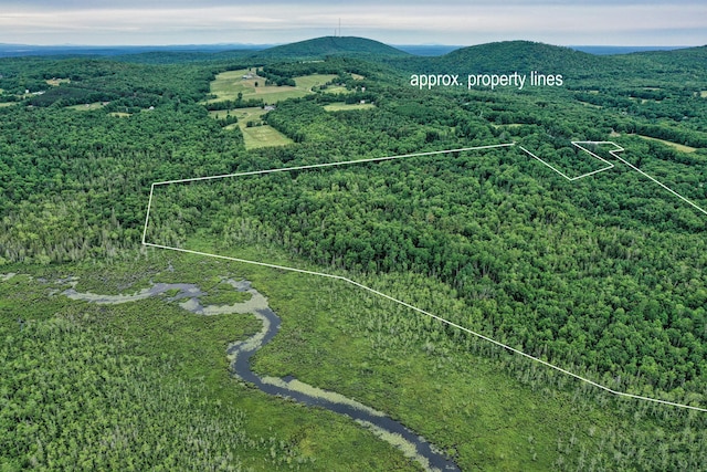 LOT12 S Rd S, Dixmont, ME 04932