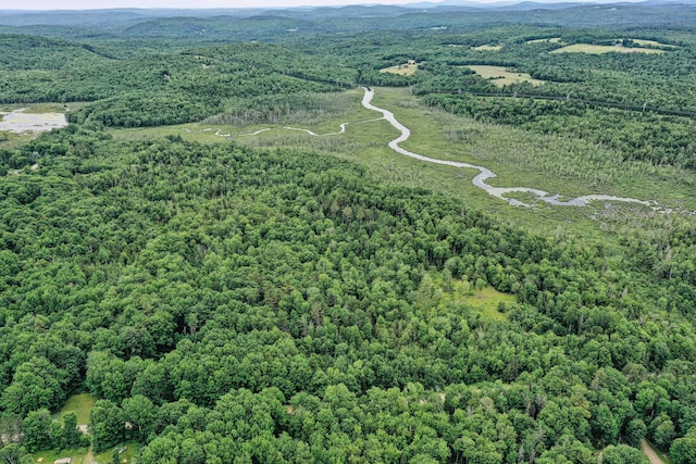 LOT12 S Rd S, Dixmont, ME 04932