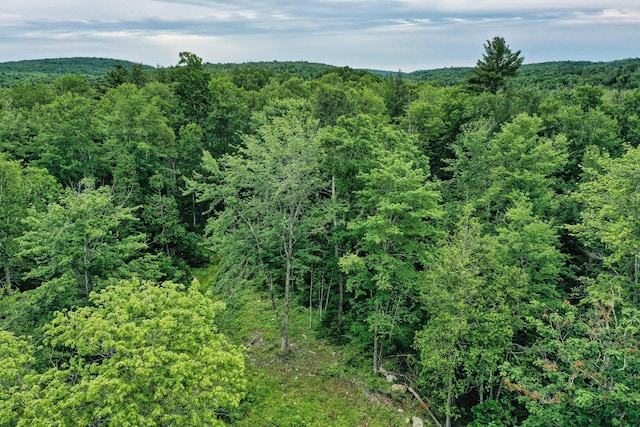 LOT12 S Rd S, Dixmont, ME 04932